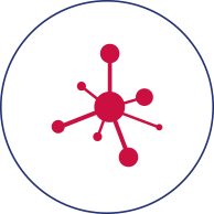 Extensive network in 240 countries